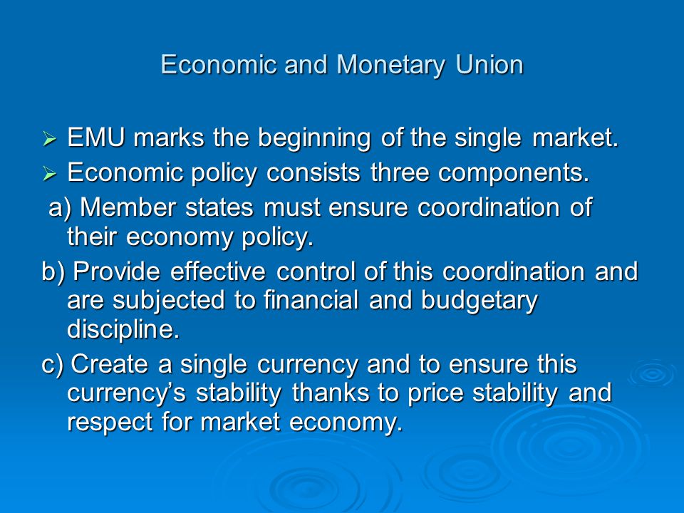 European Economic and Monetary Union (EMU)